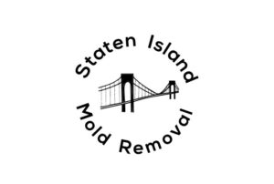 Richmondtown staten island mold removal