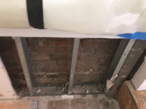 Great Kills staten island mold removal & remediation