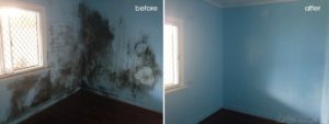 St. George staten island mold removal project 